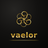 Vaelor - Accueil
